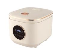 Cuociriso per Famiglie Numerose da 5L, Multifunzionale Antiaderente con Timer