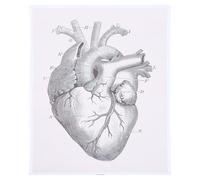 Cuore Anatomico, Cartello Educativo per Pareti, Tela in Fibra | Riferimento Chiaro per Studio, Aiuta a Comprendere la Struttura Cardiaca Umana, per Soggiorno e Studio