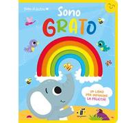 Cuore di feltro. Sono grato. Un libro per imparare la felicità. Ediz. a colori