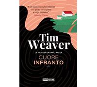Cuore infranto. Le indagini di David Raker (Vol. 7)