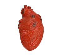 Cuore Insanguinato - Accessorio Di Halloween Spettrale, Decorazione A Cuore Finto, Accessorio Per Casa Stregata | Decorazioni Per Feste Spaventose Per La Casa Stregata Di Halloween E Gli Eventi A Tema