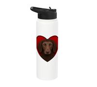 Cuore Retriever rivestito di fegato riccio Stainless Steel Insulated Water Bottle