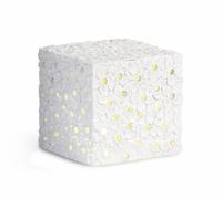 Cupido&Co. Cubo Bianco con Fiori e Led 100 x 100 x 100 Mm con Scatola