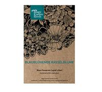 Cupidone azzurro (Catananche caerulea) Circa 20 semi cupidone azzurro per il giardino naturale, il giardino roccioso e il giardino di casa