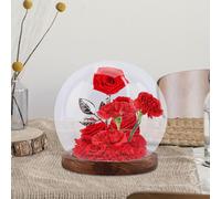 Cupola a forma di palla di vetro Regali di San Cupola a globo in