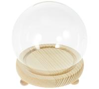 Cupola Di Con Base Vetrina Dome Decorativo Espositiva Rose