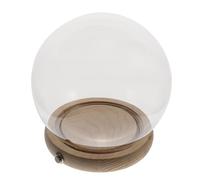 Cupola di Vetro Decorativa Base Luminosa in Legno, 3 Aaa | Vetro Trasparente e Legno, Visione a 360 Gradi, per Fiori Conservati e Resina