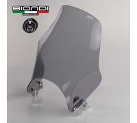 BIONDI 8010033 CUPOLINO FUME' HONDA CB HORNET 600 1998