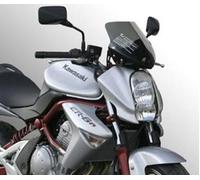 Cupolino Fumè Scuro Completo Di Kit Attacchi Compatibile Con Er 6n 2006 2007 2008