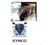 CUPOLINO FUMÈ scuro KYMCO SUPER DINK 125i / 200i /