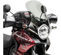 Cupolino Givi D313S Fumé