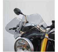 Cupolino Isotta Basso per BMW R 1200 R Nine - T dal 2015 al 2020 Fumé Chiaro