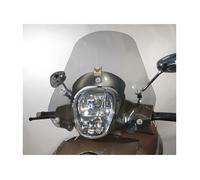 Cupolino ISOTTA FUMè CHIARO SC4081FC per PIAGGIO BEVERLY RST 350 2012 > 2020