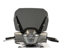 Cupolino Isotta Sport per KYMCO People S 125I - 150I Abs dal 2022 Fumé Scuro