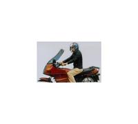 Cupolino MRA AR - Arizona - fume' BMW R 100 R
