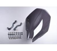 Cupolino / Parabrezza in Policarbonato Fumè Chiaro KAWASAKI Z-500 / SE 2024-2025