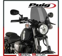 Puig 9438F Cupolino Naked New Generation Touring, Fumè Scuro