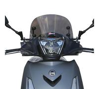 CUPOLINO SPOILER FACO FUME' SCURO PER SYM HD 300 2019 2020 2021 ASTE VERNICIATE