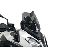 CUPOLINO SPORT WRS FUME SCURO PER BMW S 1000 XR 2015-2019