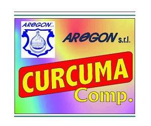 CURCUMA COMP 60CPS 500MG