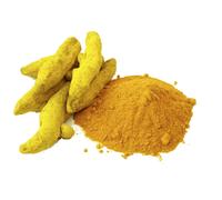 Curcuma In Polvere Da Rizoma Per Tisana 100 G