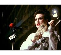Cure - Friday I'M in Love