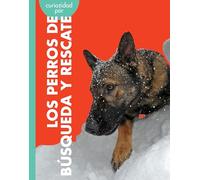 Curiosidad por los perros de búsqueda y rescate