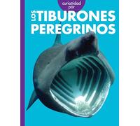 Curiosidad por los tiburones peregrinos/ Curious about Basking Sharks