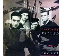Curiosity Killed the Cat - Keep Your Distance