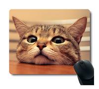 Curioso cute Cat look at you con occhi Eager sulla tabella personalizzato mouse pad