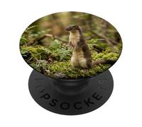 Curioso Stoat Foresta Fauna Selvatica Minimal Nature Scene Design PopSockets PopGrip Adesivo