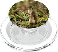 Curioso Stoat Foresta Fauna Selvatica Minimal Nature Scene Design PopSockets PopGrip per MagSafe