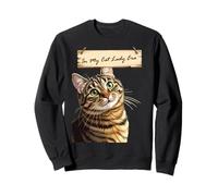 Curioso Tabby nella Mia Gatta Lady Era Felpa