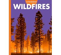 Curious about Wildfires