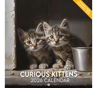 Curious Kittens Calendar 2026: Tiny Explorers with Wide Eyes and Mischievous Poses