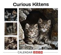 Curious Kittens Calendar 2026: Tiny Explorers with Wide Eyes and Mischievous Poses