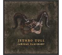 Jethro Tull Curious Ruminant (CD)