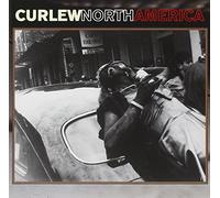 Curlew - North America