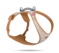 Curli Alpine Belka pettorina, grigio - Tg. XL: Circonferenza toracica 55,5 - 62,7 cm