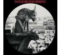Current 93 Dogs Blood Rising (Vinyl LP) 12" Album Picture Disc