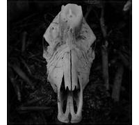 cursed to witness life (vinyl lp)