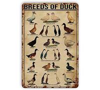 Curteny Breeds of Duck Knowledge - Targa in metallo, decorazione da parete in metallo, stile retrò, per bar, cucina, grotta, soggiorno, regalo, 14 x 20 cm