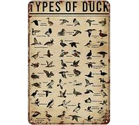 Curteny Targa in metallo vintage con scritta "Knowledge Duck", poster vintage in metallo per pub, club, caffetterie, bar, decorazione artistica da parete per la casa, poster retrò, 14 x 20 cm