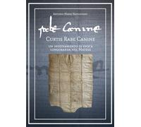 CURTIS RABE CANINE: un insediamento di epoca longobarda nel Matese