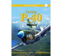 Curtiss P-40 vol. I - Kagero mimetico e decalcomanie n. 4