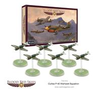 Curtiss P-40 Warhawk squadron