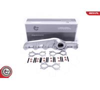 Curva di raccordo, Imp. gas scarico per BMW 3 5 7 X3 X5 X6