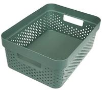 CURVER Bandeja de Almacenamiento, Resin, Verde, Medium (245853)