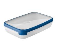 Curver Boîte fraicheur rectangulaire, 2.6 l, Transparent/Bleu Watch, Trasparente/Blu