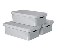 CURVER Infinity - Contenitore in plastica con Coperchio, 30 l, Colore: Grigio Chiaro